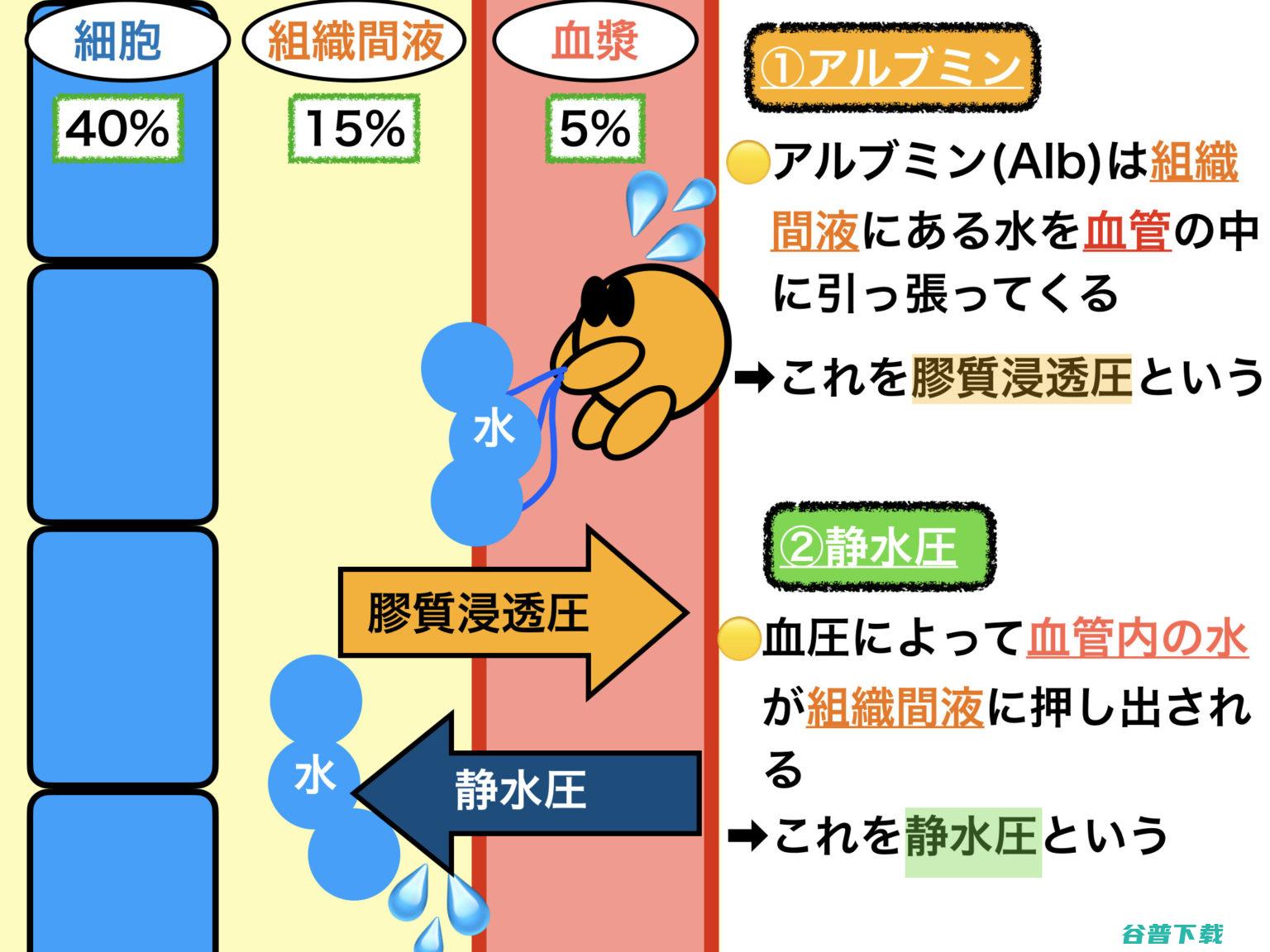 小型的反浸透水解决设施须要多少钱 (浸润方式 infc)